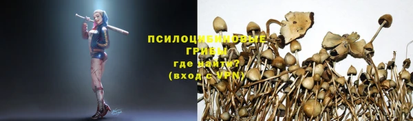 круглые Гусиноозёрск