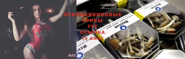 круглые Гусиноозёрск